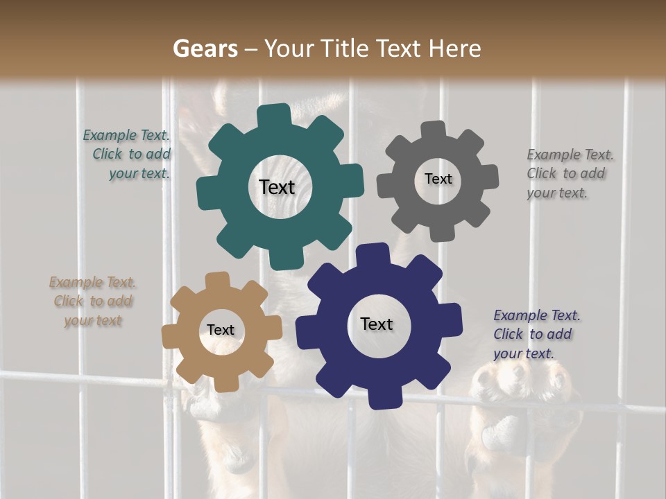 Cage Vacate Stare PowerPoint Template