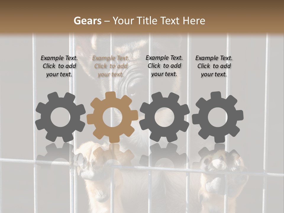 Cage Vacate Stare PowerPoint Template