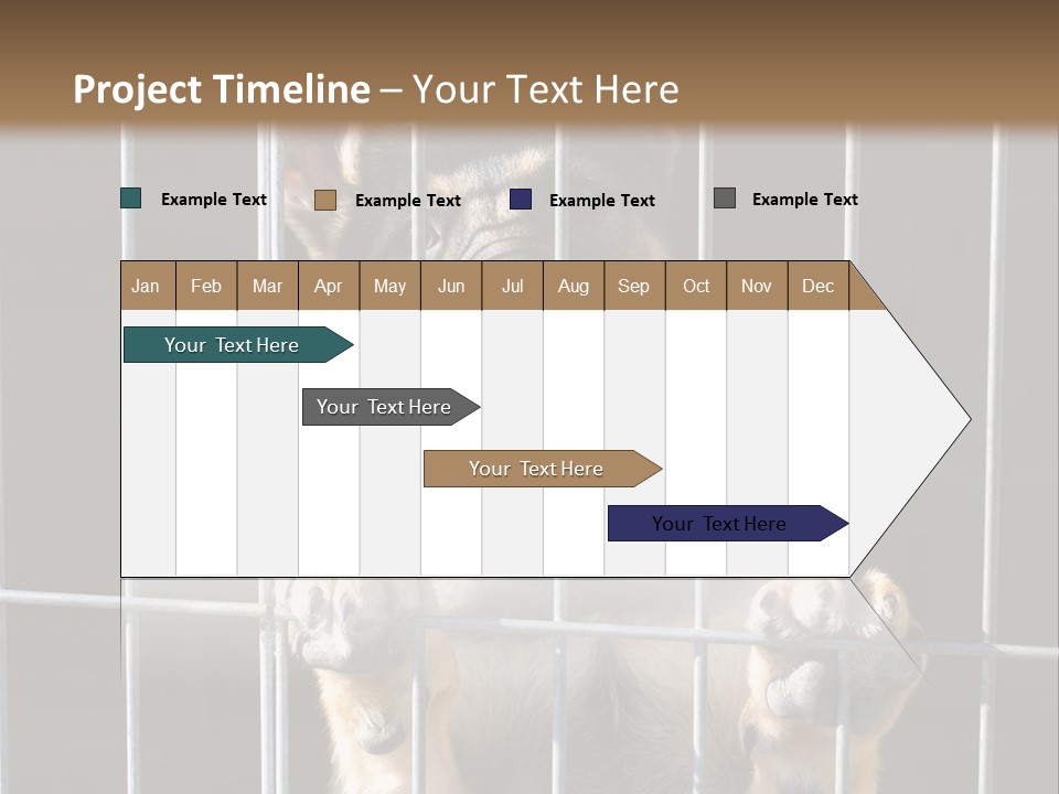 Cage Vacate Stare PowerPoint Template