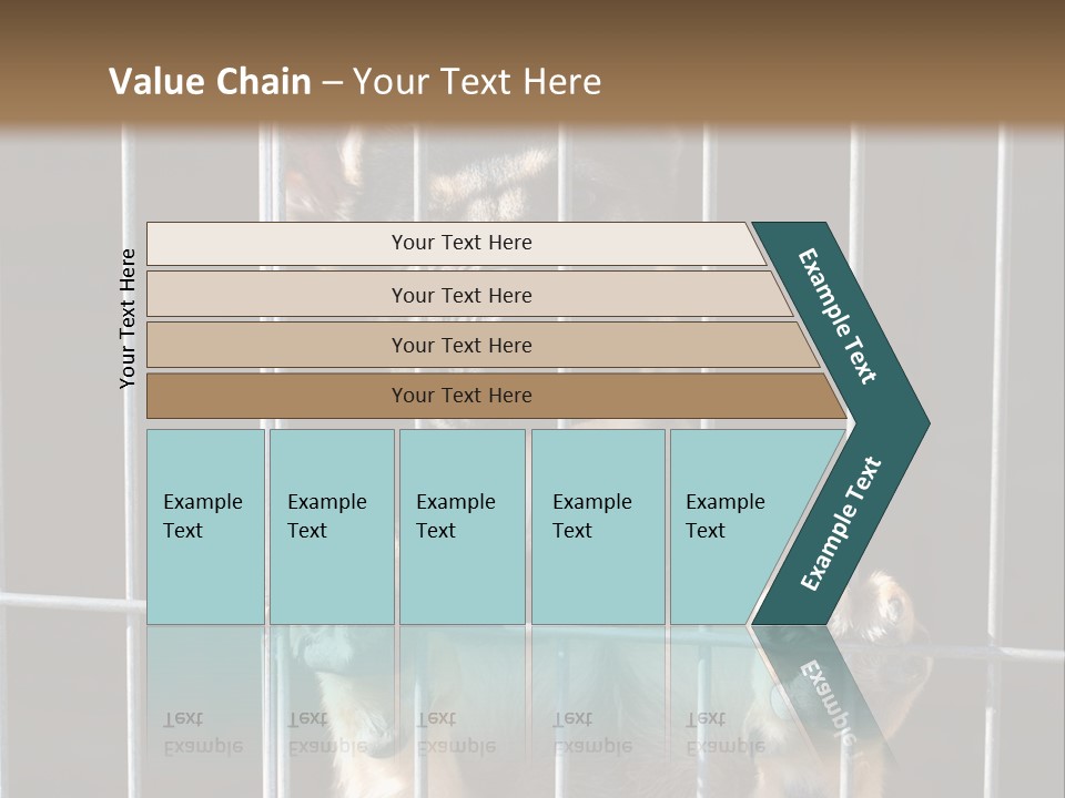 Cage Vacate Stare PowerPoint Template