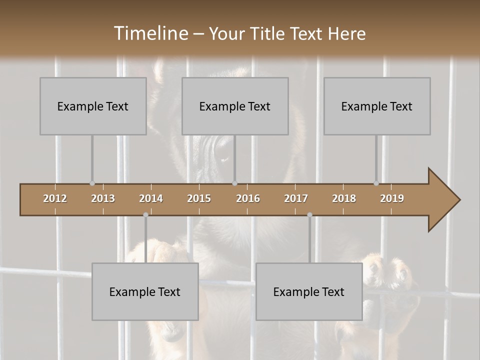 Cage Vacate Stare PowerPoint Template