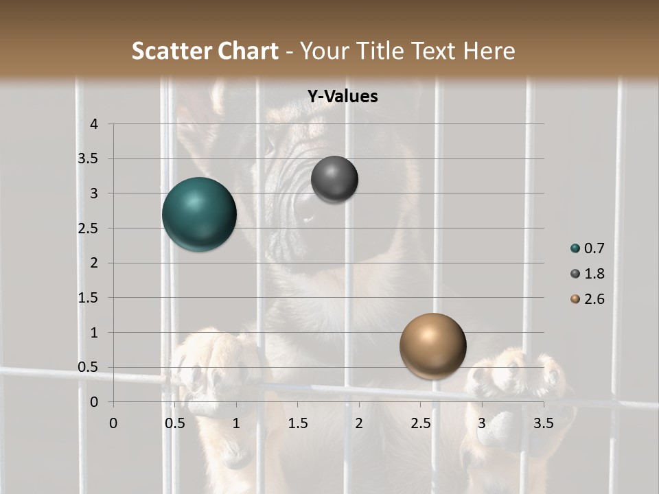 Cage Vacate Stare PowerPoint Template