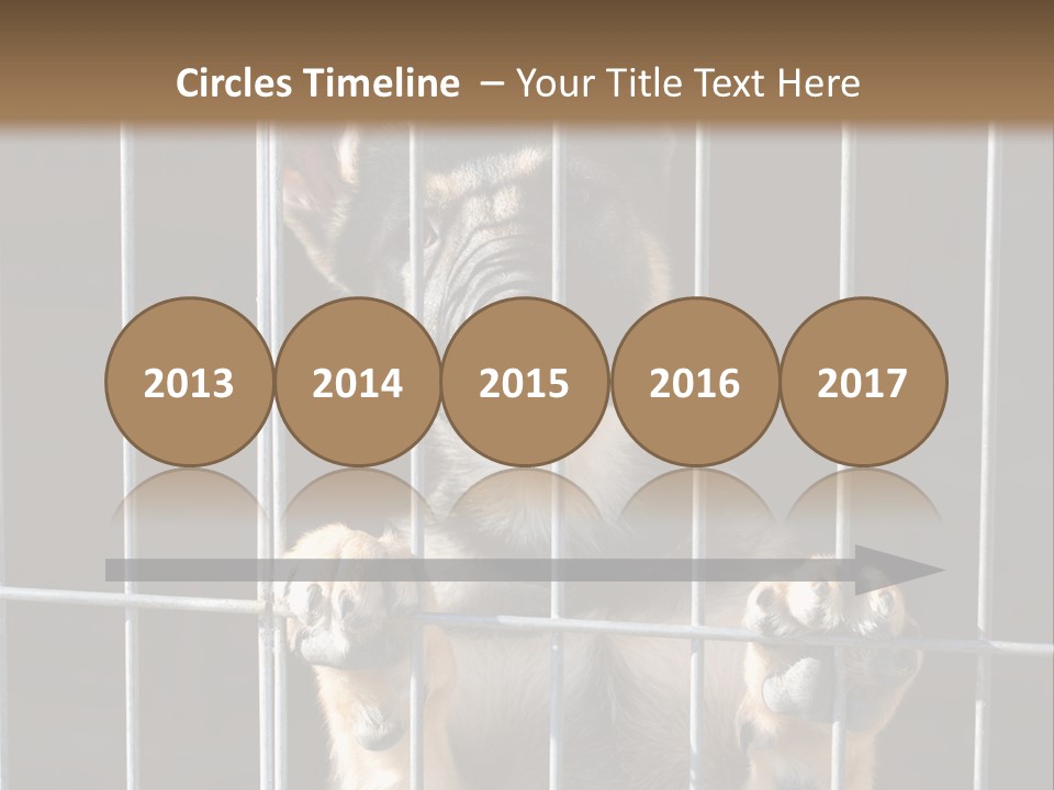 Cage Vacate Stare PowerPoint Template