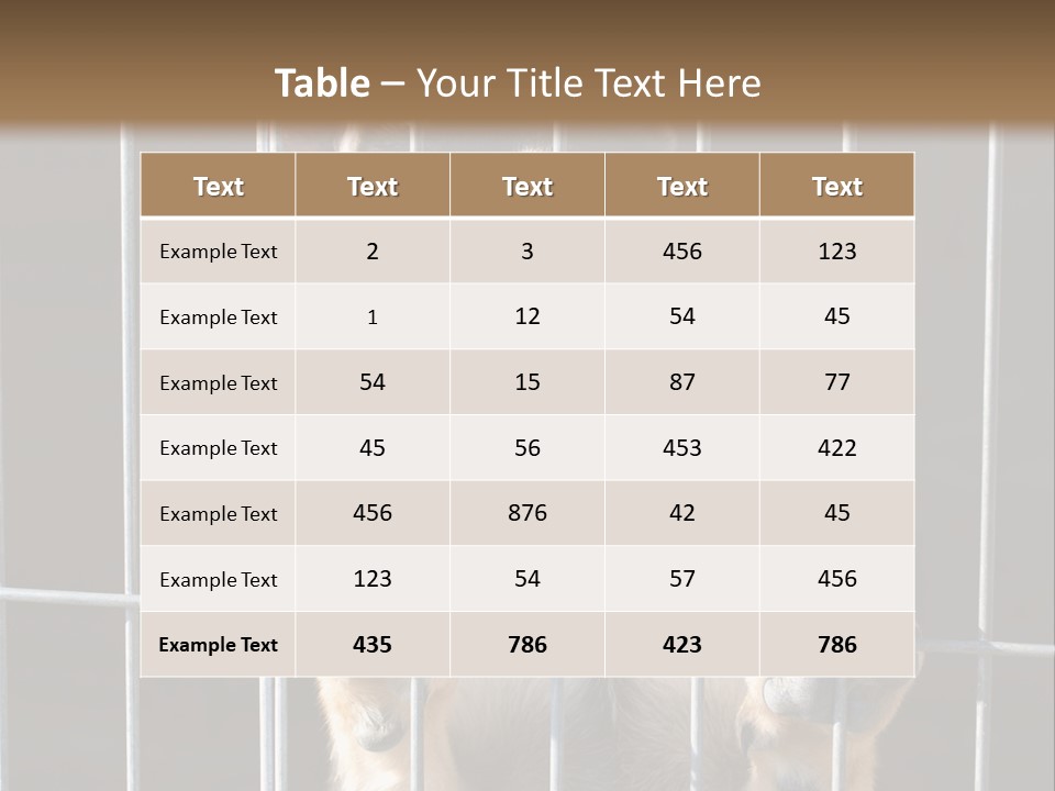 Cage Vacate Stare PowerPoint Template