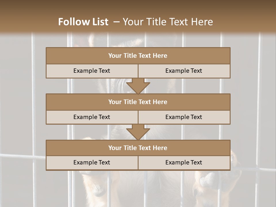 Cage Vacate Stare PowerPoint Template
