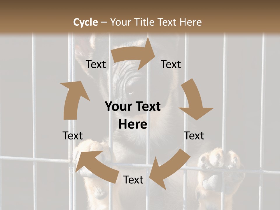 Cage Vacate Stare PowerPoint Template