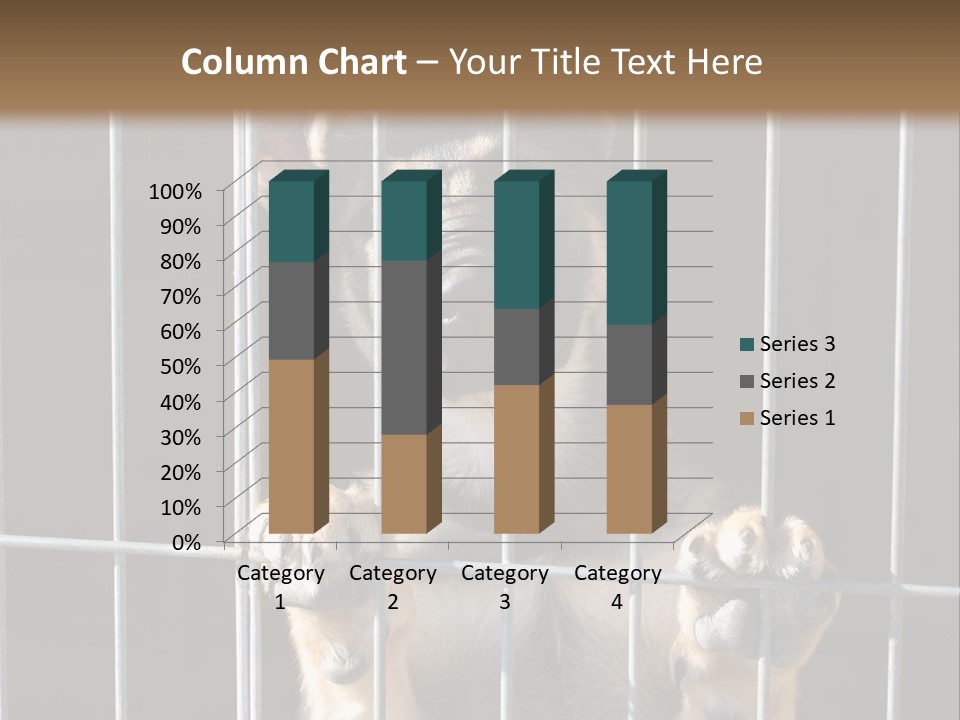 Cage Vacate Stare PowerPoint Template