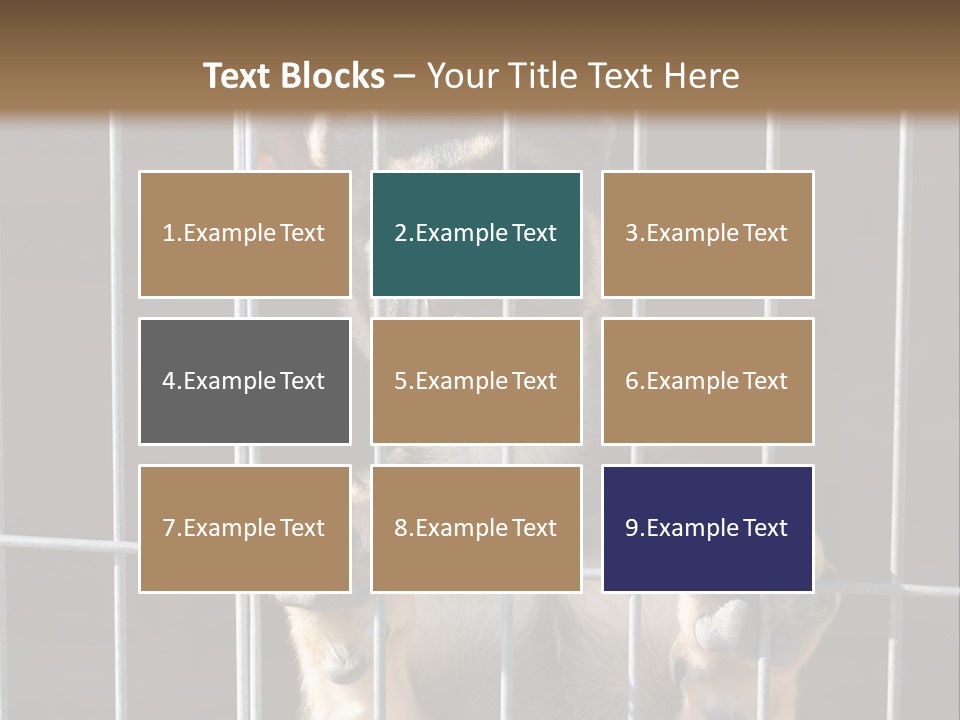 Cage Vacate Stare PowerPoint Template