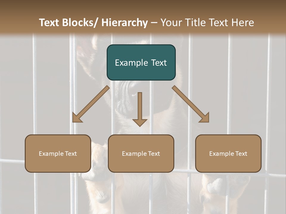Cage Vacate Stare PowerPoint Template