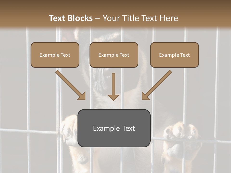 Cage Vacate Stare PowerPoint Template