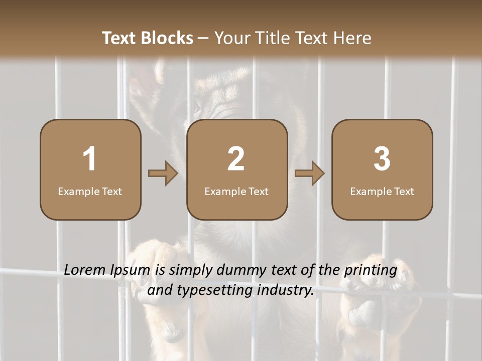 Cage Vacate Stare PowerPoint Template
