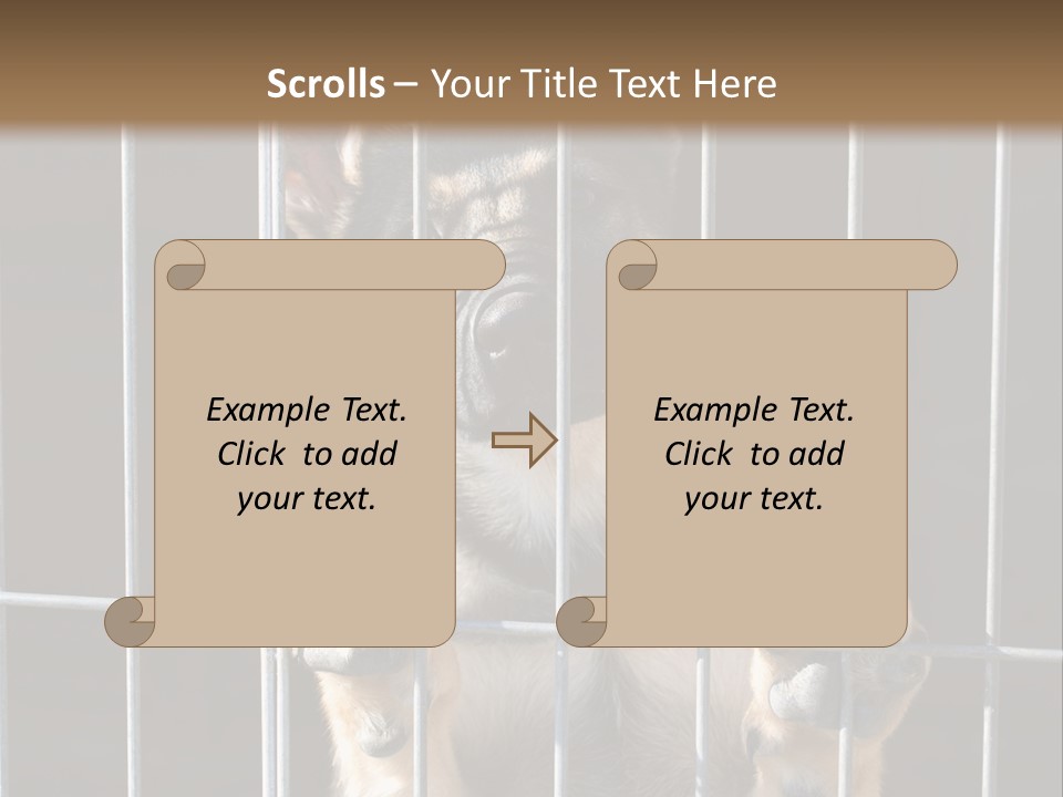 Cage Vacate Stare PowerPoint Template