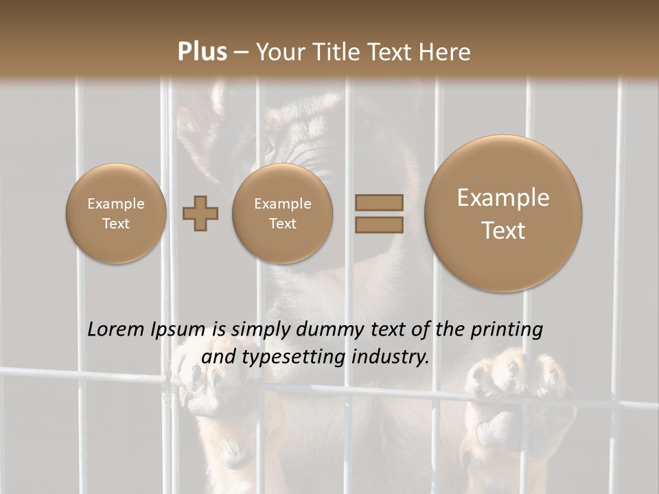 Cage Vacate Stare PowerPoint Template