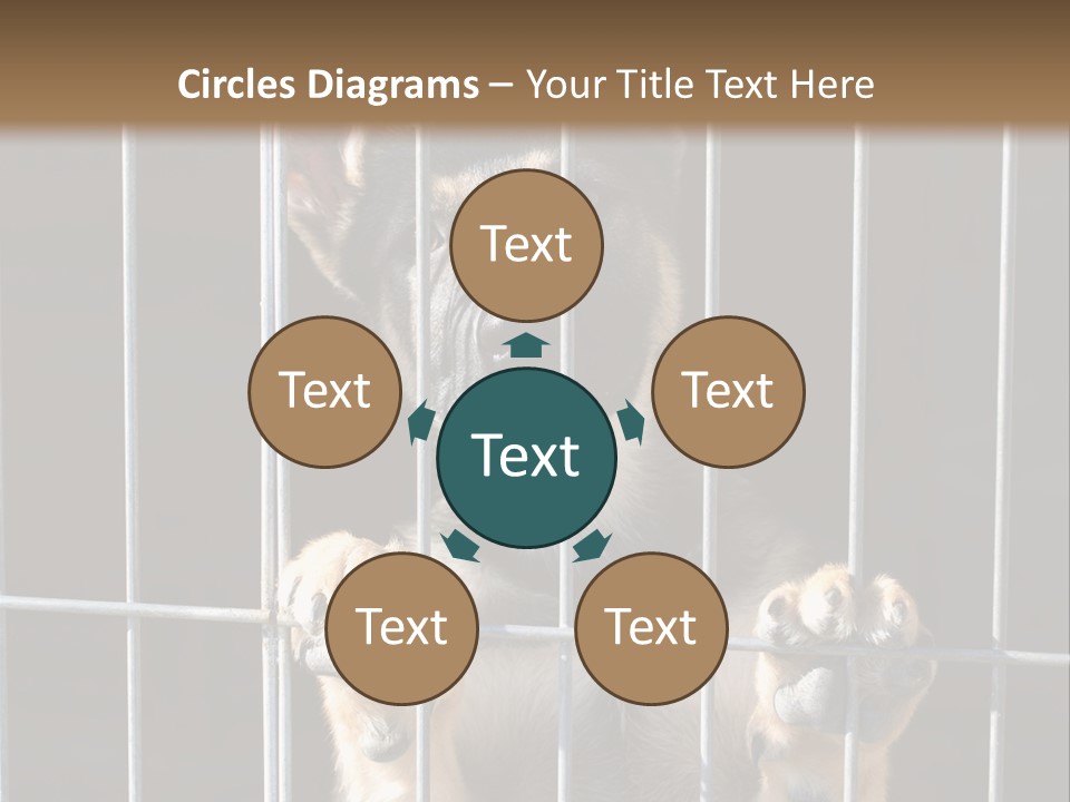 Cage Vacate Stare PowerPoint Template