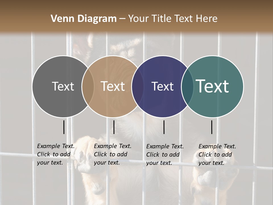 Cage Vacate Stare PowerPoint Template