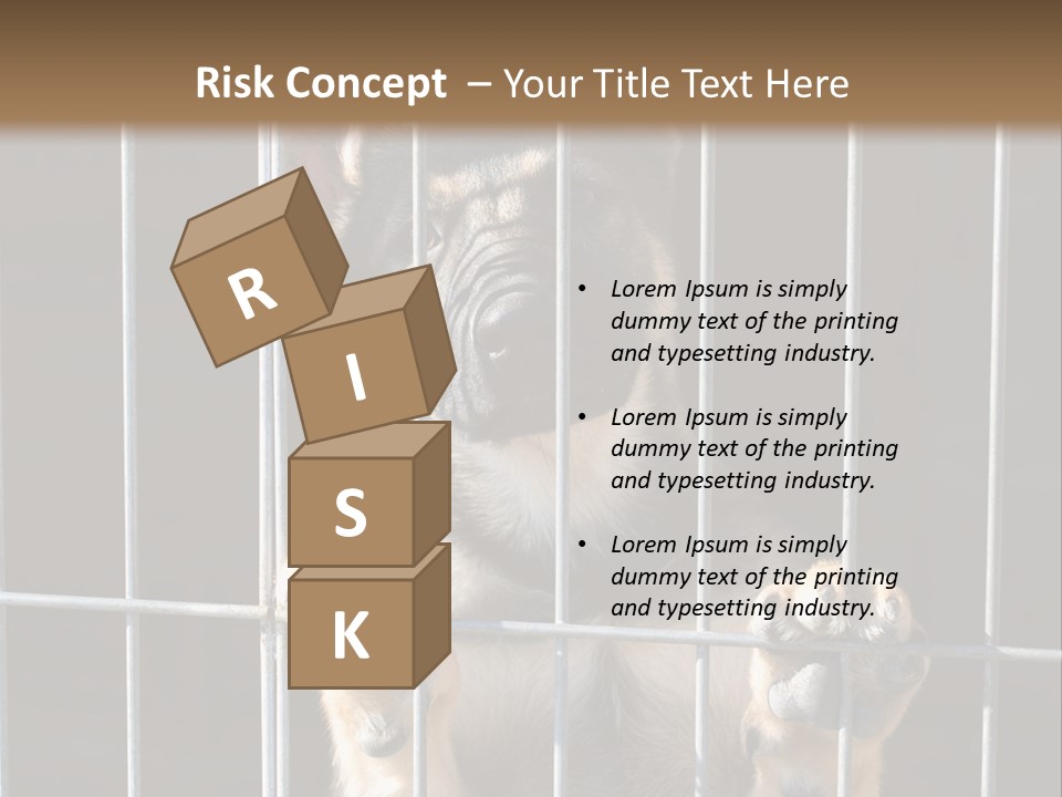 Cage Vacate Stare PowerPoint Template