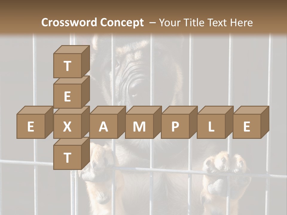 Cage Vacate Stare PowerPoint Template