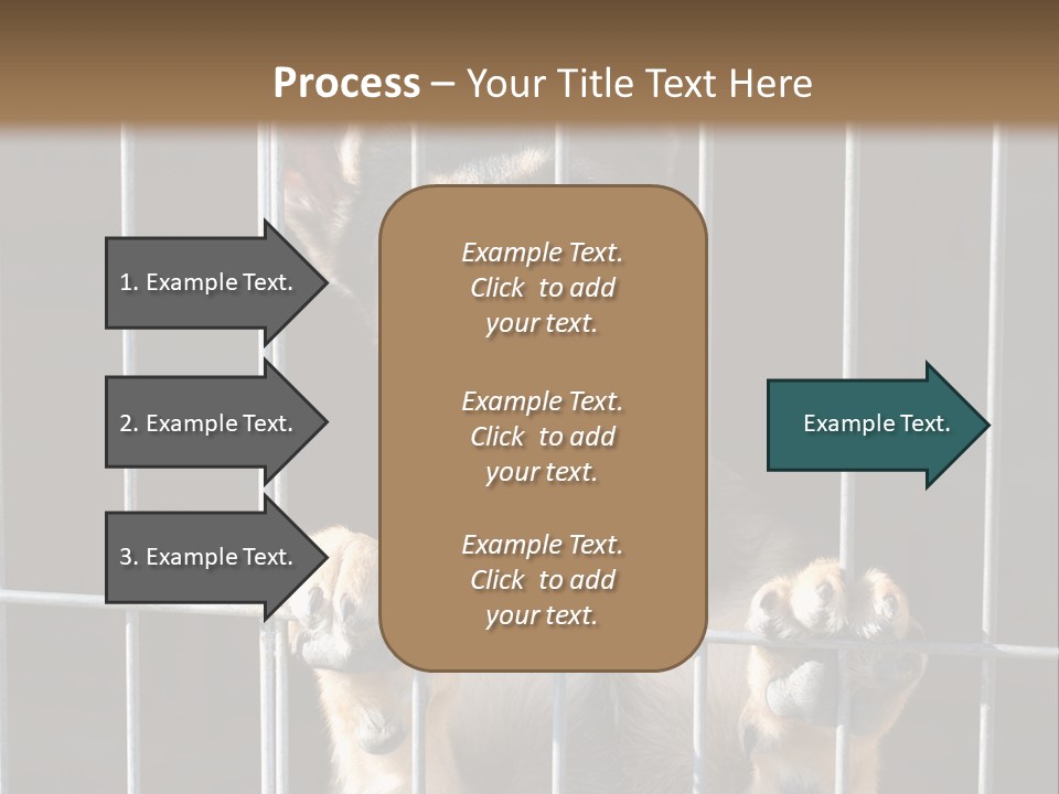 Cage Vacate Stare PowerPoint Template