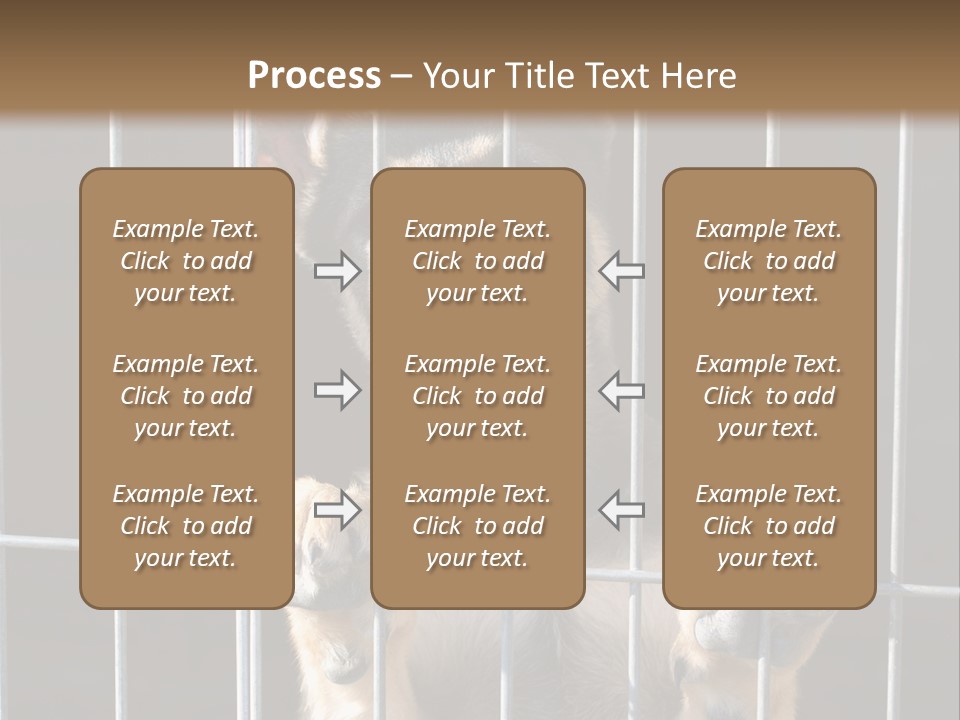 Cage Vacate Stare PowerPoint Template