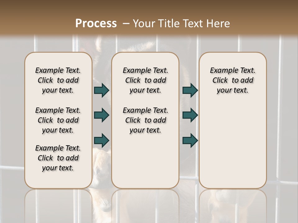 Cage Vacate Stare PowerPoint Template
