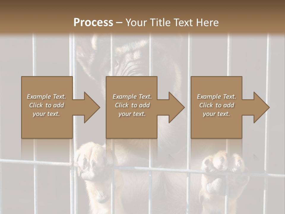 Cage Vacate Stare PowerPoint Template