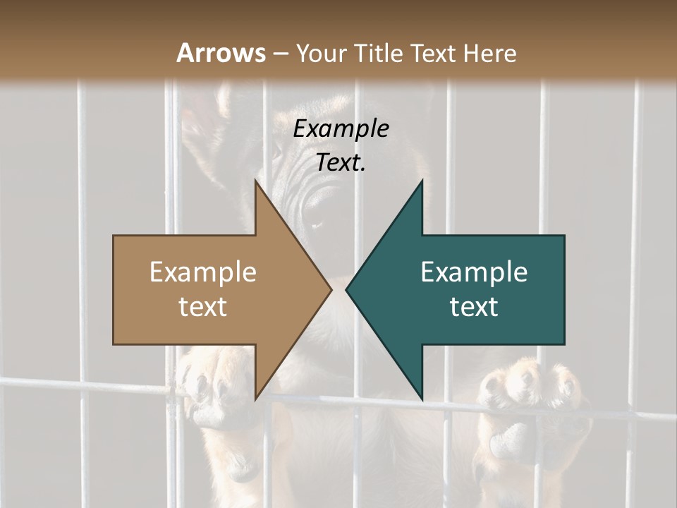 Cage Vacate Stare PowerPoint Template