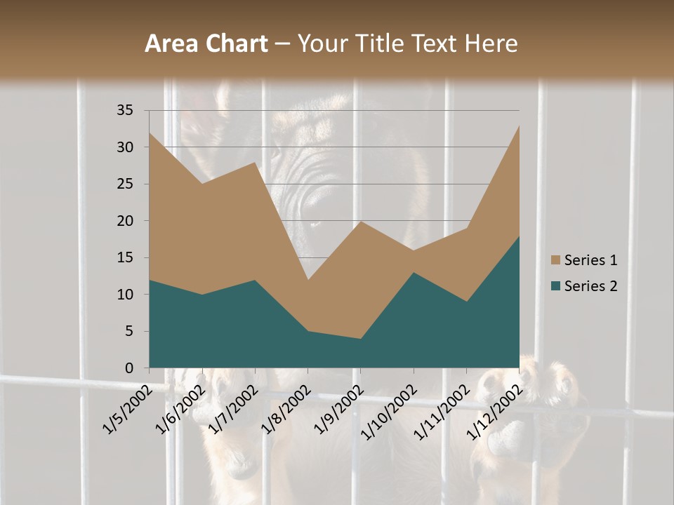 Cage Vacate Stare PowerPoint Template