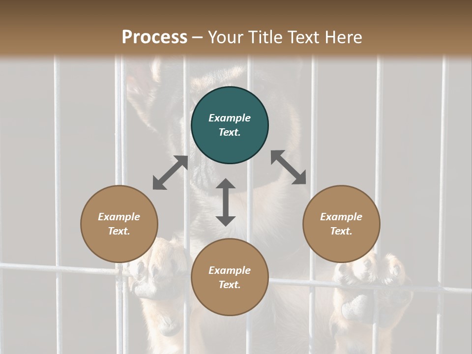 Cage Vacate Stare PowerPoint Template