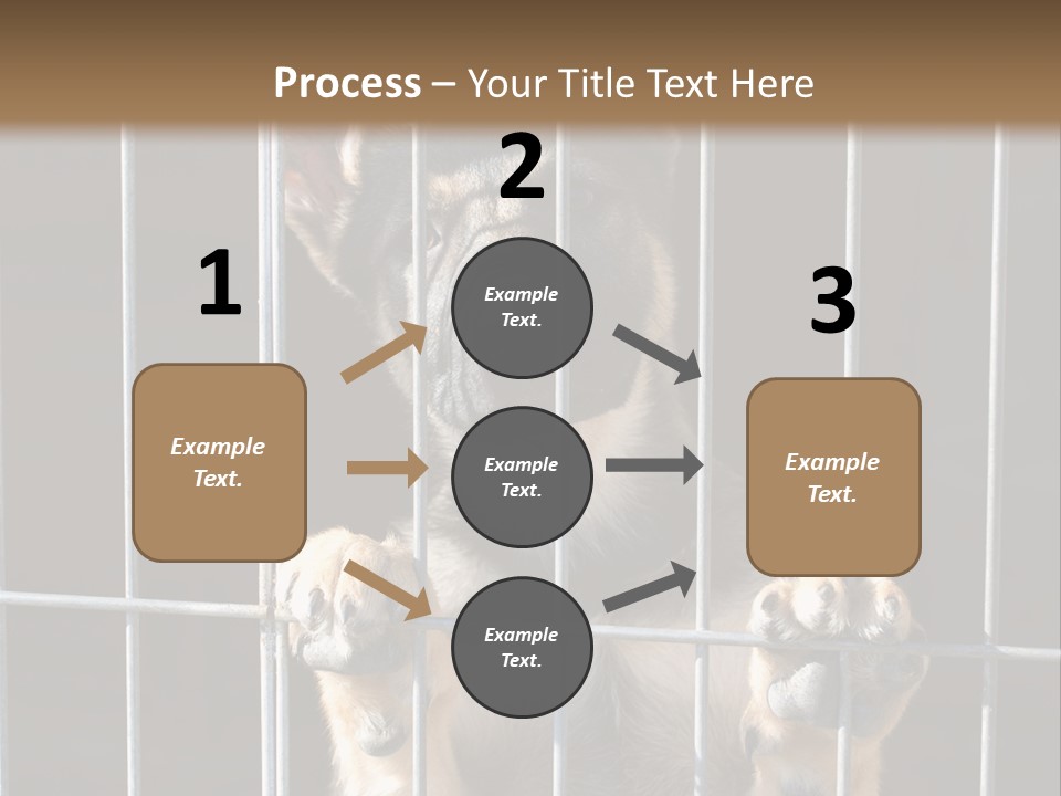 Cage Vacate Stare PowerPoint Template