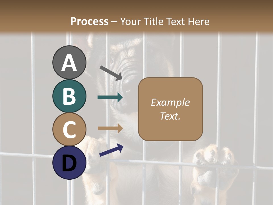Cage Vacate Stare PowerPoint Template