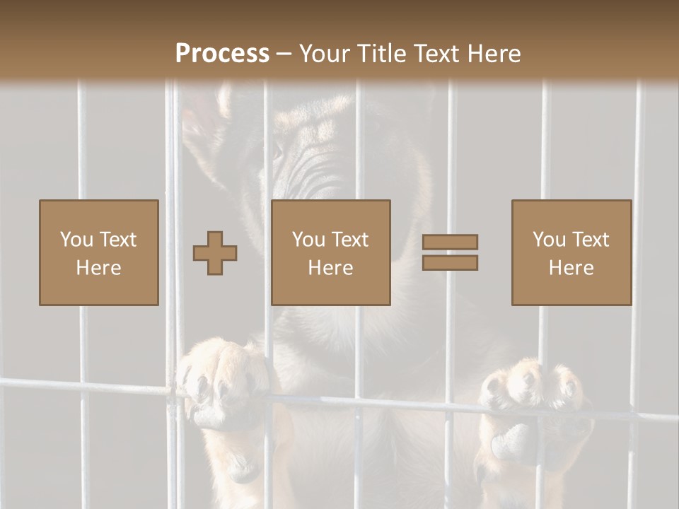 Cage Vacate Stare PowerPoint Template