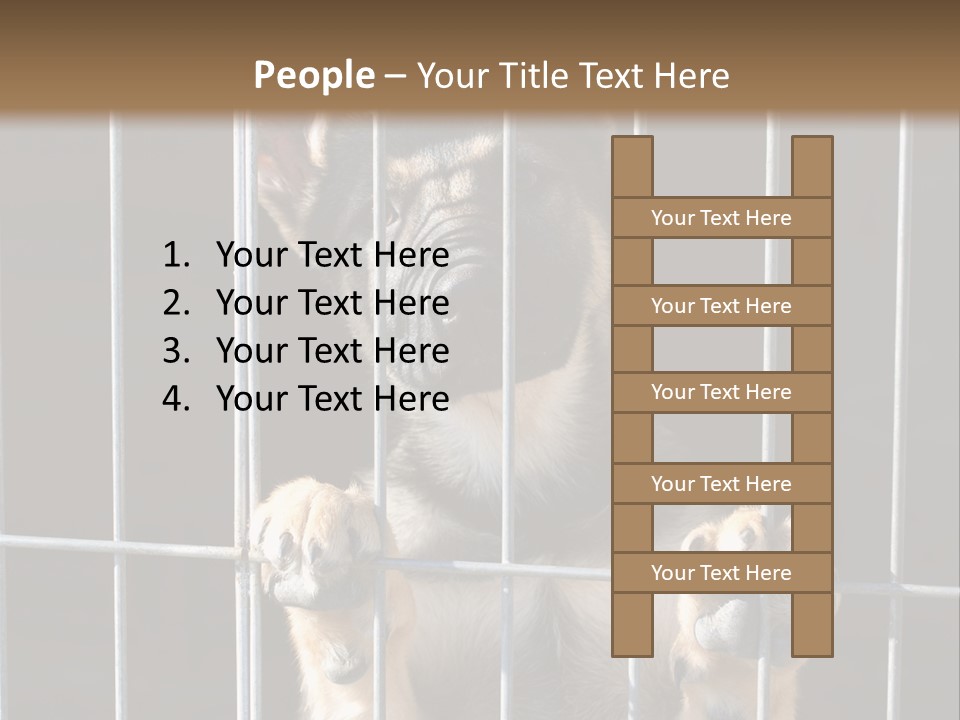 Cage Vacate Stare PowerPoint Template