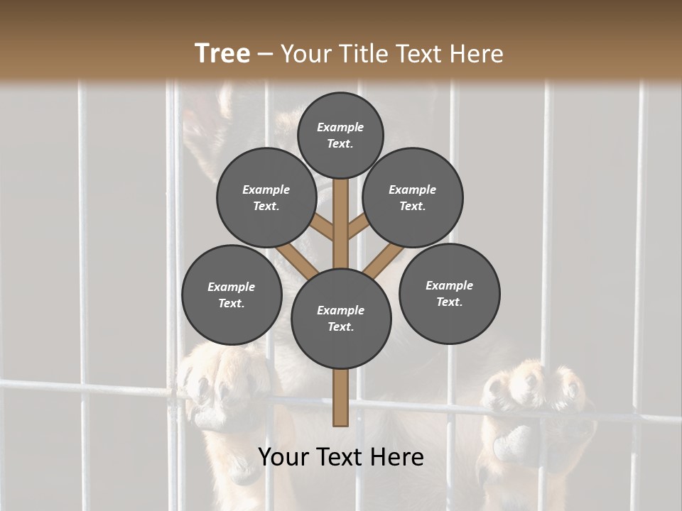 Cage Vacate Stare PowerPoint Template