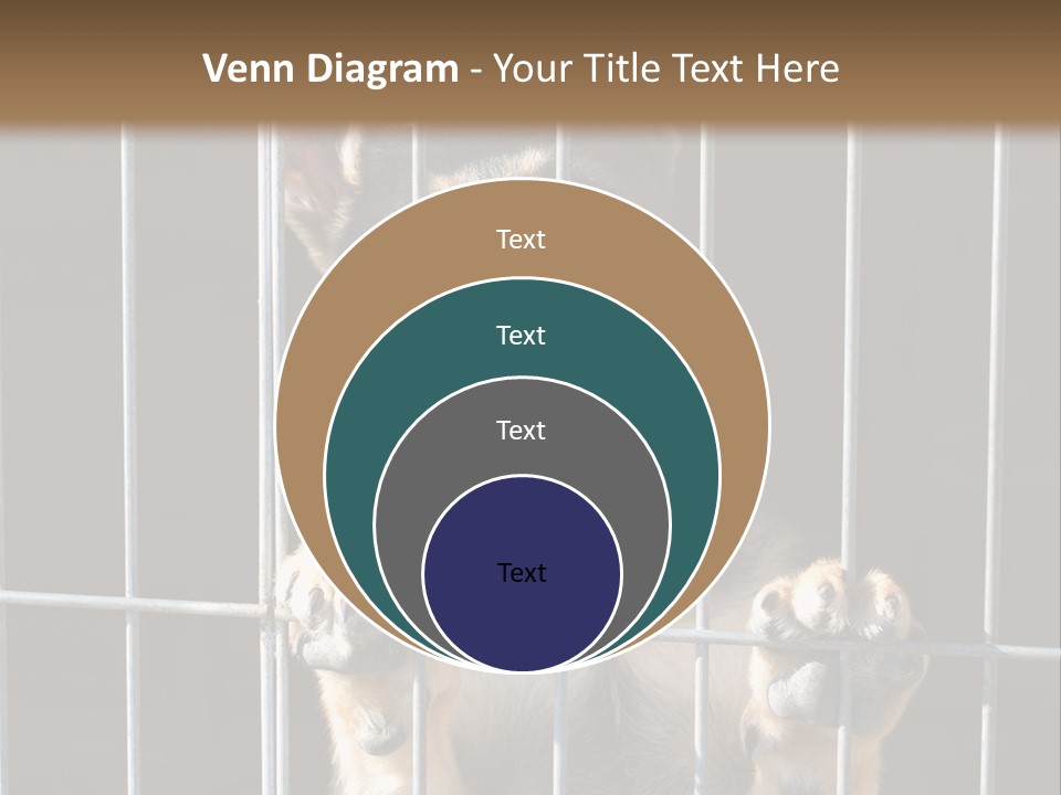 Cage Vacate Stare PowerPoint Template