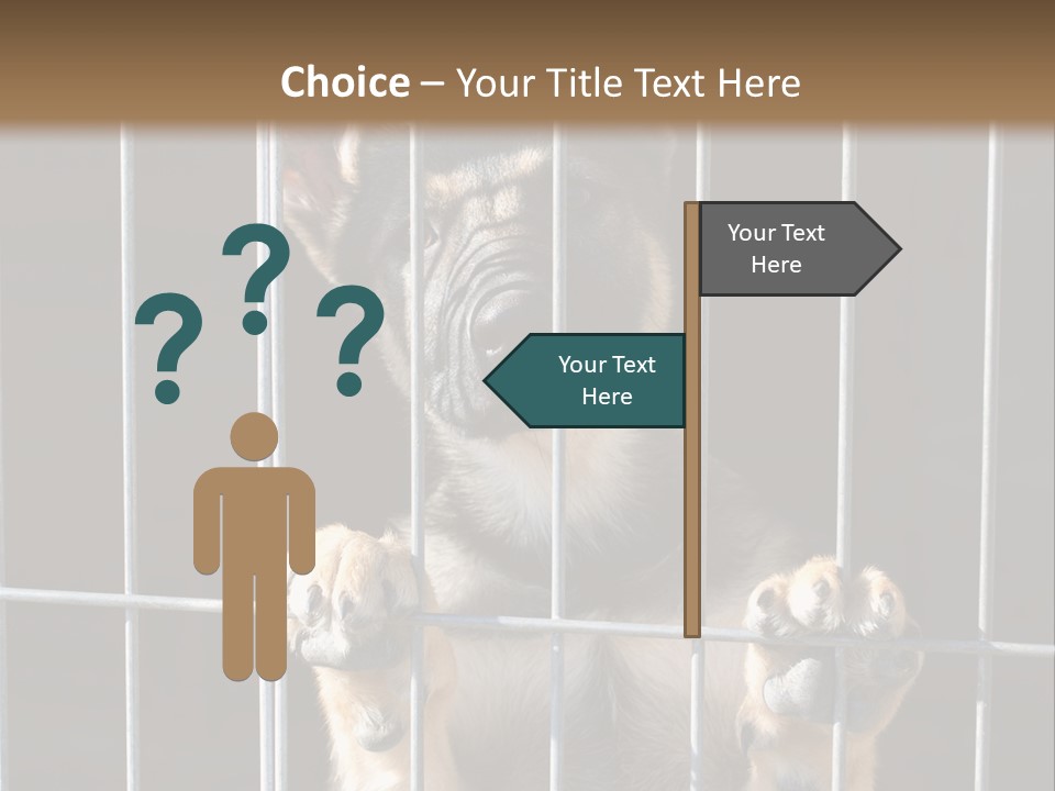 Cage Vacate Stare PowerPoint Template