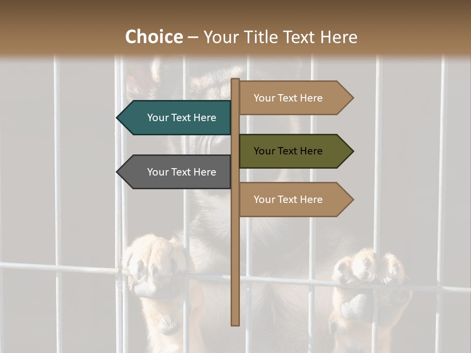 Cage Vacate Stare PowerPoint Template
