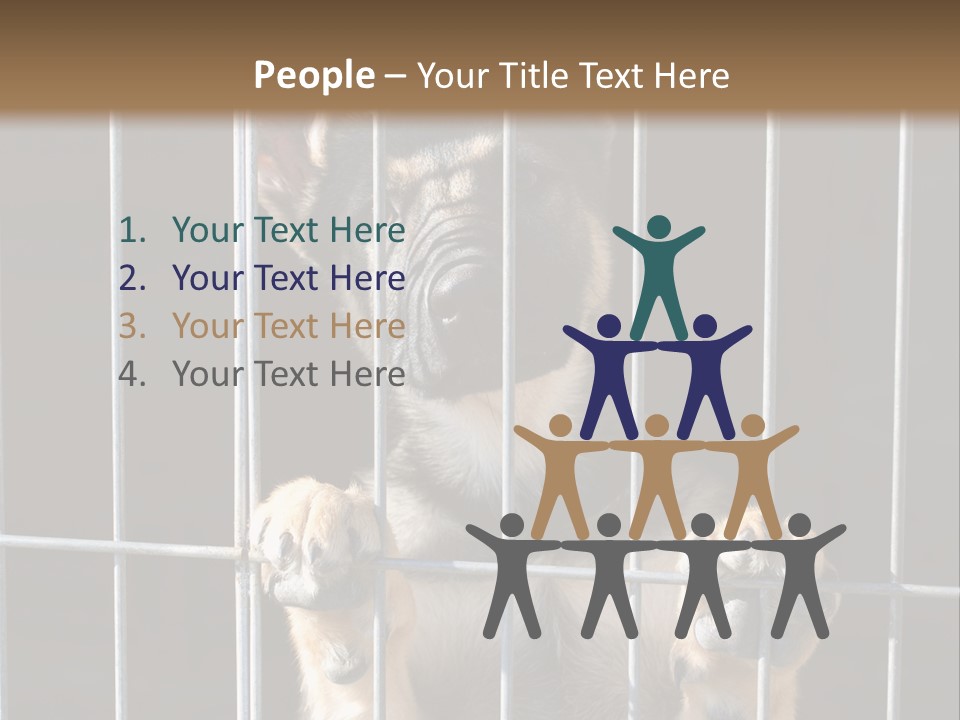 Cage Vacate Stare PowerPoint Template