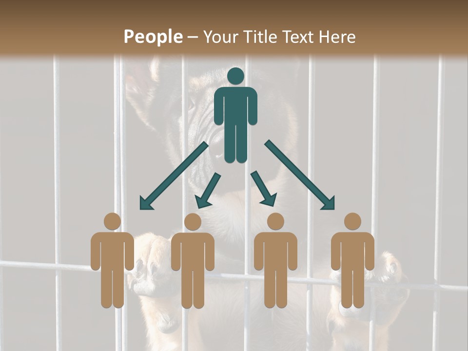 Cage Vacate Stare PowerPoint Template