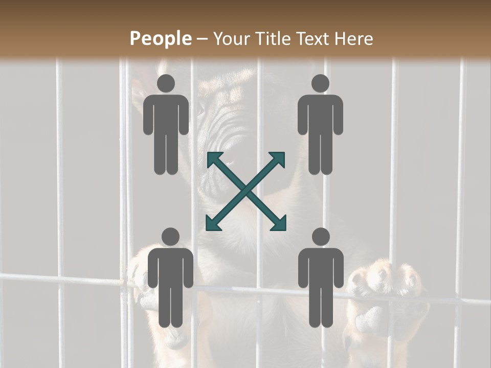 Cage Vacate Stare PowerPoint Template