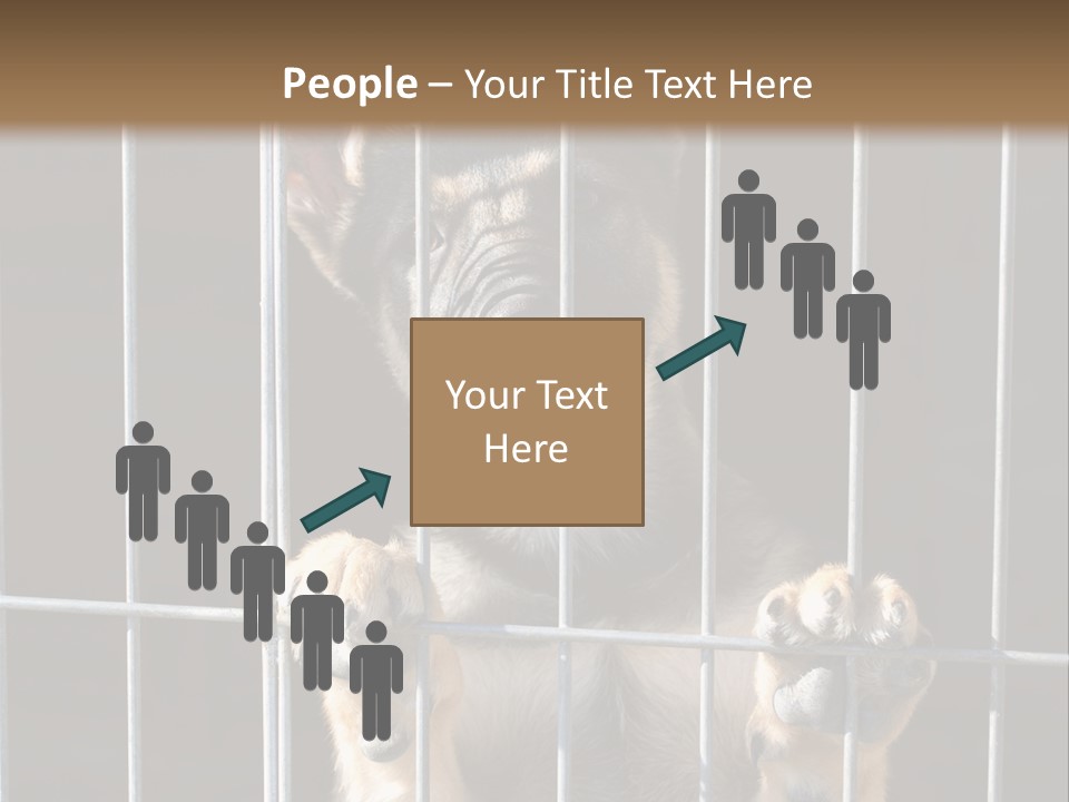 Cage Vacate Stare PowerPoint Template