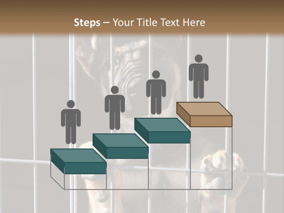 Cage Vacate Stare PowerPoint Template