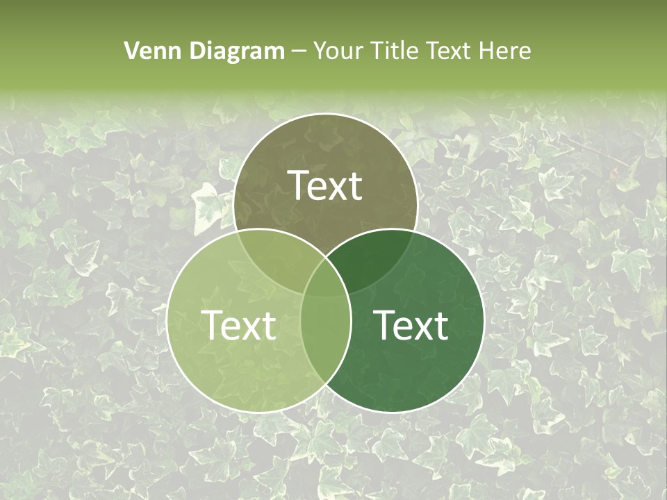 Unity Wall Atmosphere PowerPoint Template