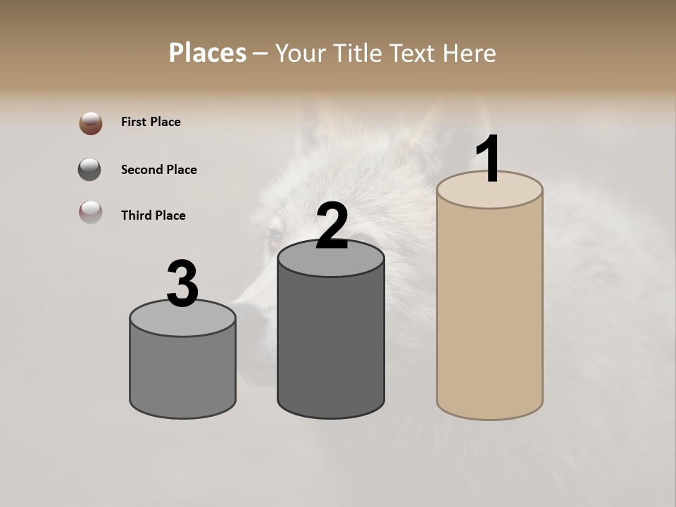 A Wolf Is Shown In This Powerpoint Presentation PowerPoint Template