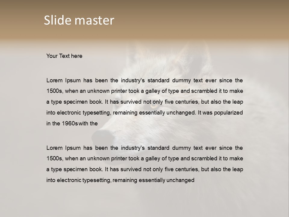 A Wolf Is Shown In This Powerpoint Presentation PowerPoint Template