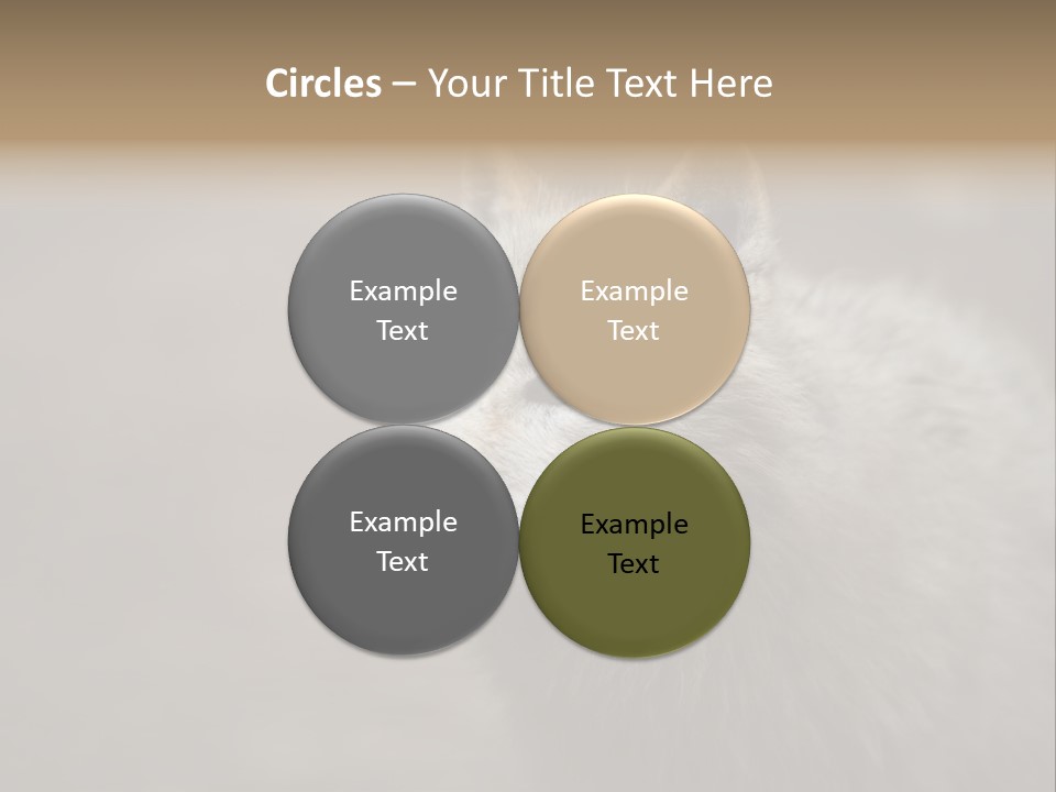 A Wolf Is Shown In This Powerpoint Presentation PowerPoint Template