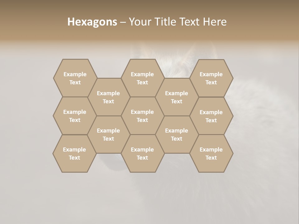 A Wolf Is Shown In This Powerpoint Presentation PowerPoint Template