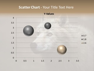 A Wolf Is Shown In This Powerpoint Presentation PowerPoint Template