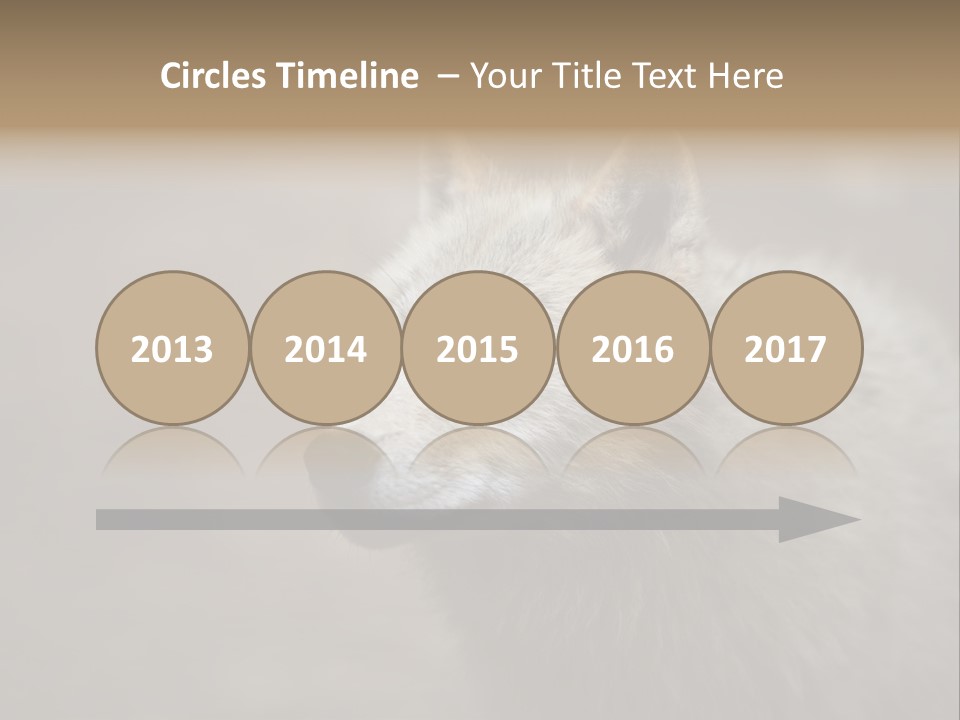 A Wolf Is Shown In This Powerpoint Presentation PowerPoint Template