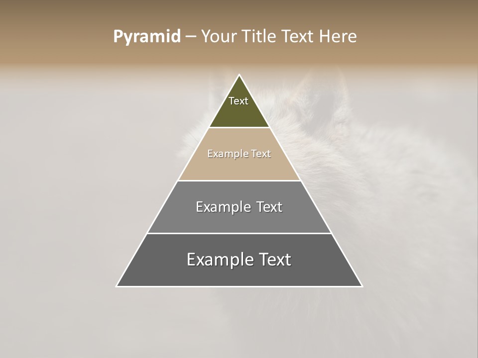 A Wolf Is Shown In This Powerpoint Presentation PowerPoint Template