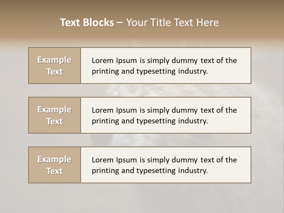A Wolf Is Shown In This Powerpoint Presentation PowerPoint Template